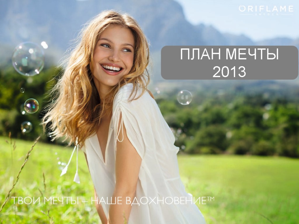 ПЛАН МЕЧТЫ 2013